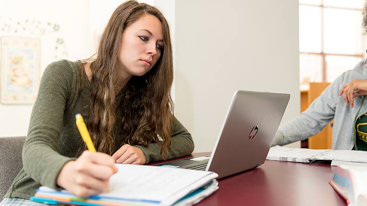 Academic Support and Workshops at Cecil