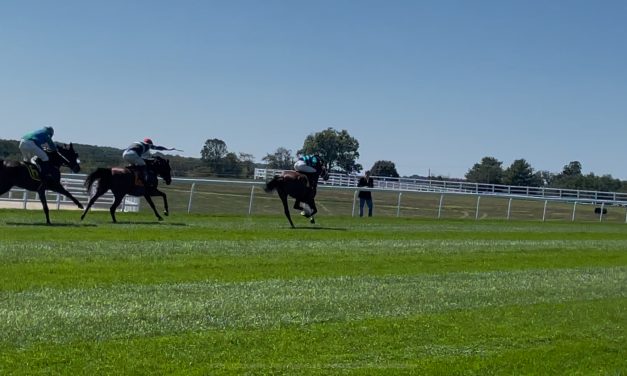 ‘Races at Fair Hill’ and ‘Maryland 5 Star’ Equestrian Events Return